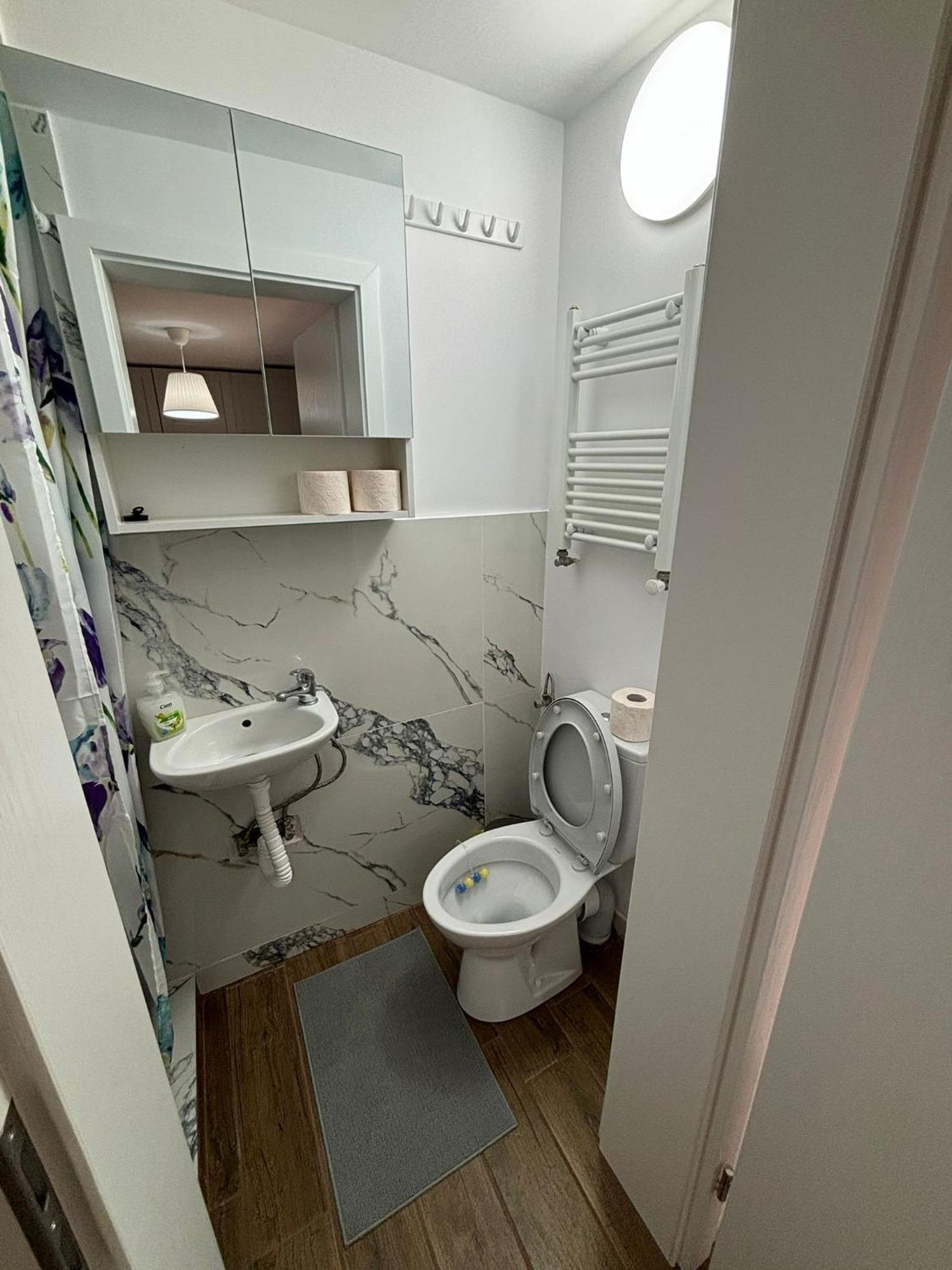 Damian Confort Zone Apartment Timisoara